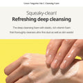 Goodal_Green_Tangerine_Vita_C_Cleansing_Foam_150mlallaboutskindoha
