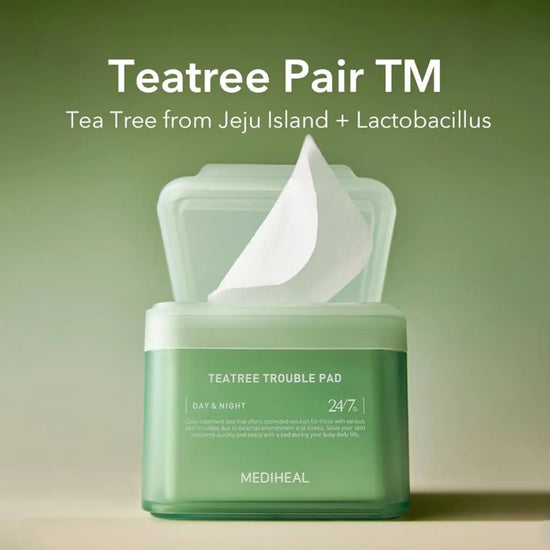 Tarea Tree Buy MEDIHEAL Teatree Trouble Pad 100 Pads Online in Qatar