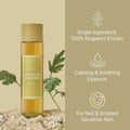 Shop I'm From, Mugwort Essence 160ml Online in Oman